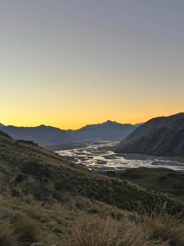 NZ-8